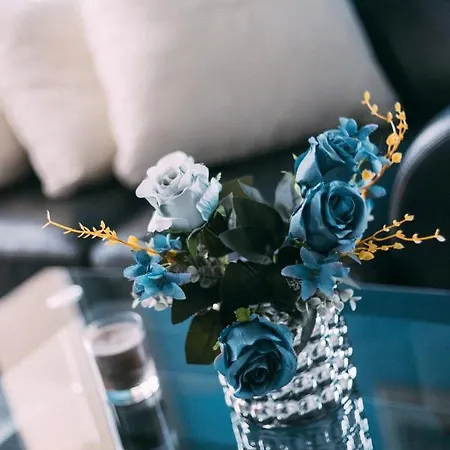 Mici Luxury Apartment Ledine